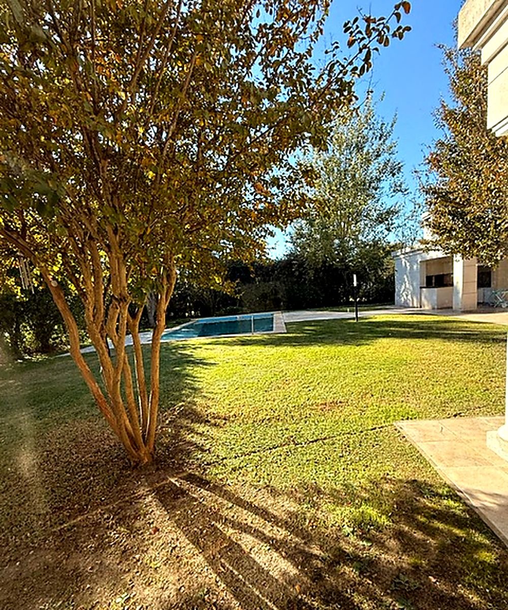 Sunlit rear garden with mown lawn, mature crepe myrtle, turquoise pool and hedged boundary